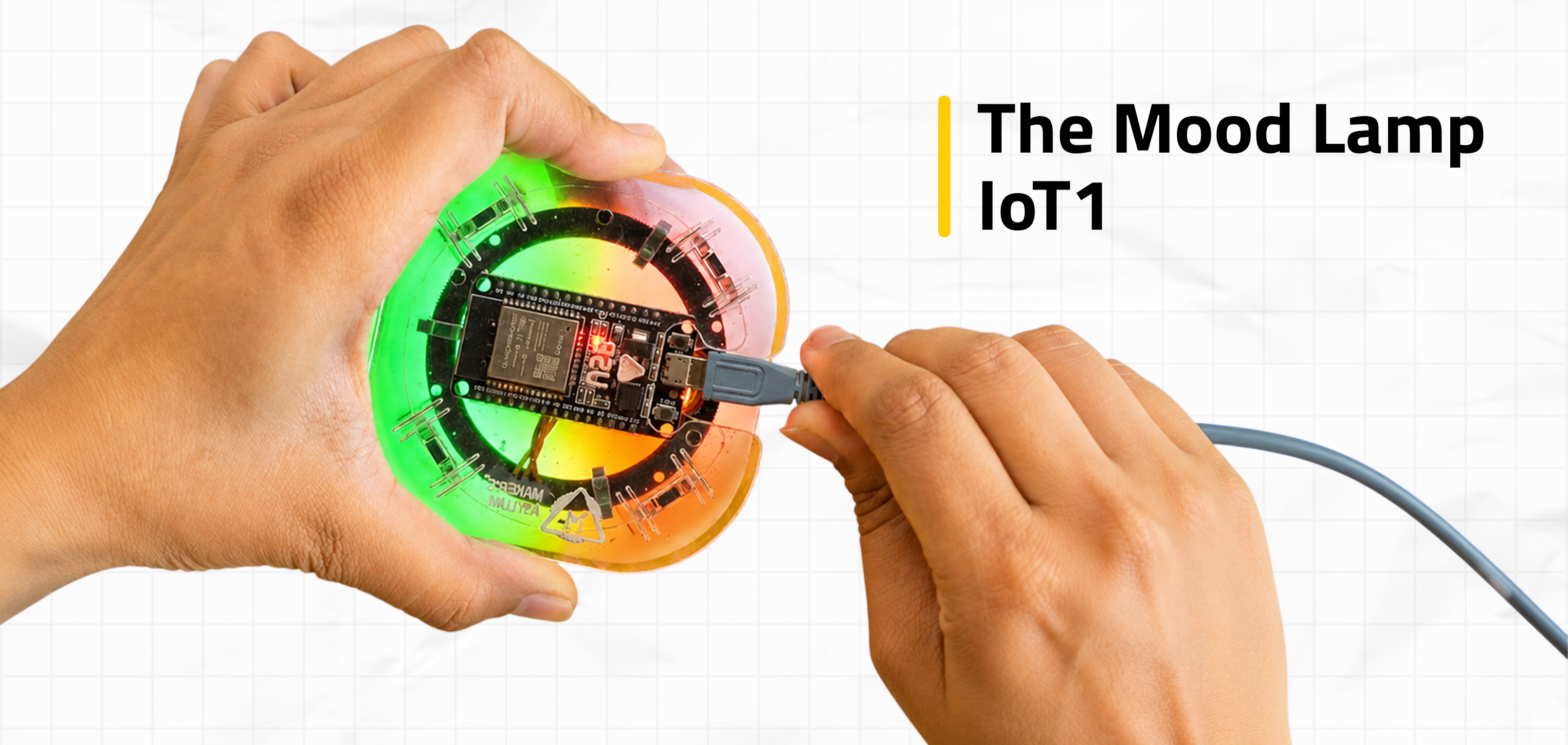 Internet of Things (IoT) Level 1 IoT1